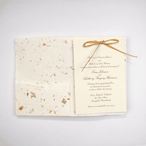 Elegant Pocket Fold Seed Paper Invitation with a cream ribbon, against a white background.