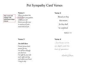 Veterinary Sympathy Cards for Pets | Pet Memorial Products