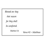 A-Pet-Verse-2-Matthew