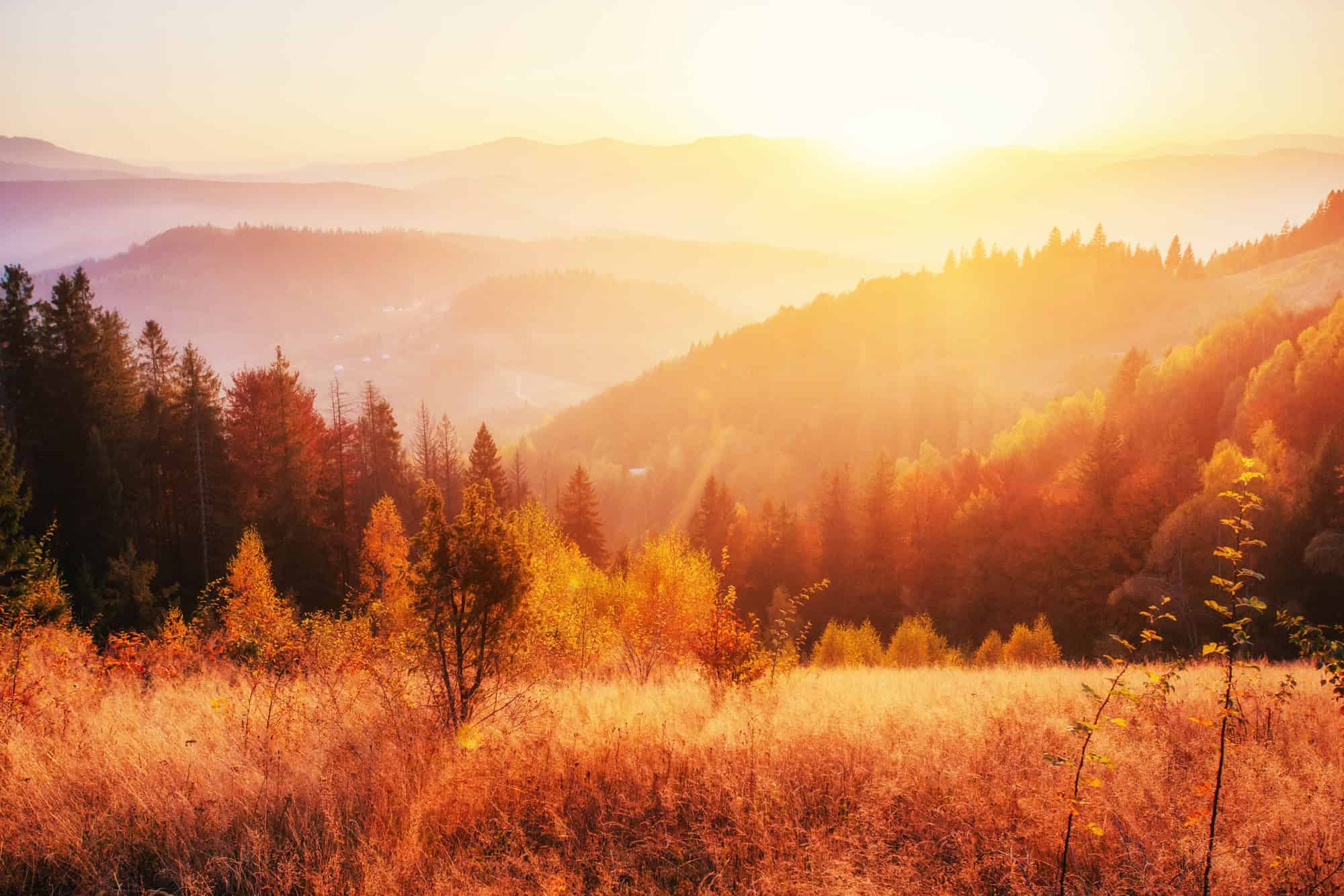 A scenic view of a sunlit mountain landscape at sunrise. The sun casts a golden glow over rolling hills and a dense forest, with lush trees in autumn colors. The sky is clear, adding to the warm, serene atmosphere.