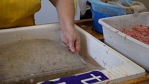A person’s hand lifts a wet, rectangular screen from a water basin filled with pulp and flower petals, likely making handmade paper. Nearby are trays with more pulp and a blue plastic basket.