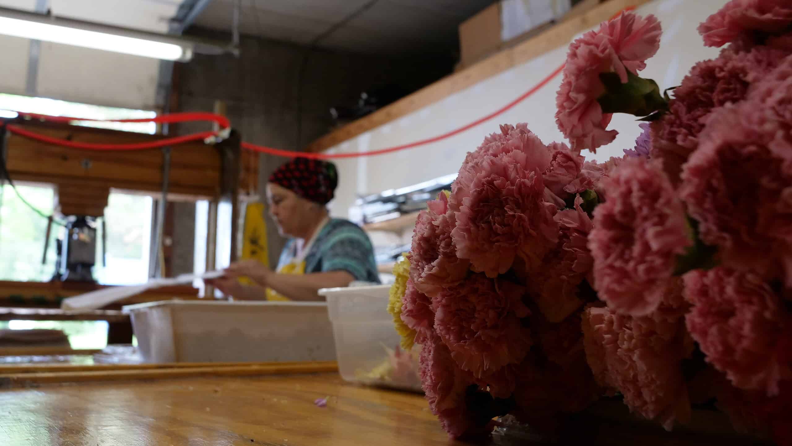 A close-up of pink carnations on a wooden surface, with a person in the background working at a table in a workshop or florist setting. The background is softly blurred.