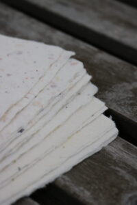 Seed Paper vs. Traditional Paper