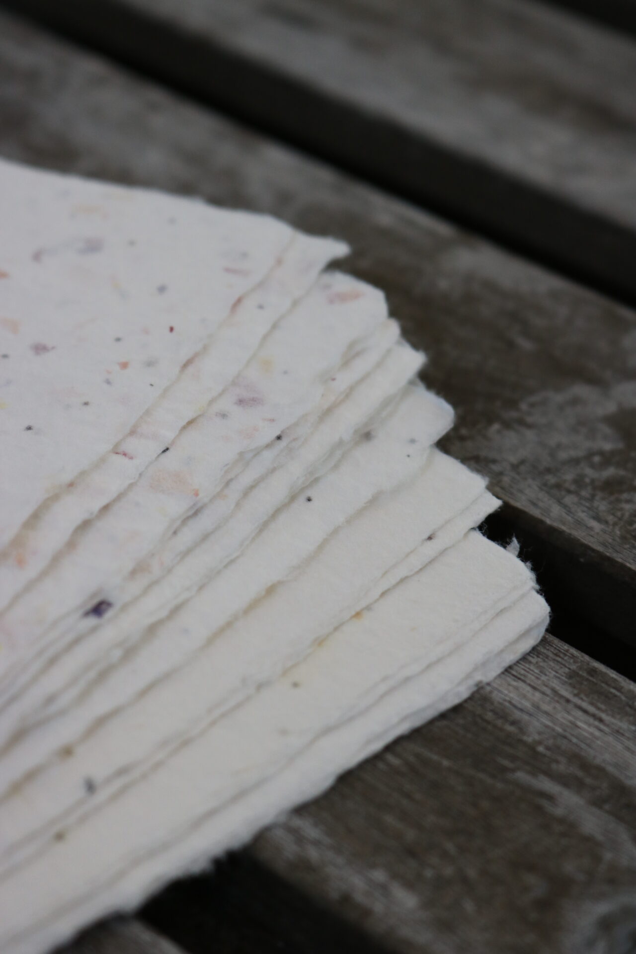 Seed Paper vs. Traditional Paper